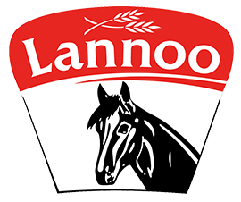 LANNOO