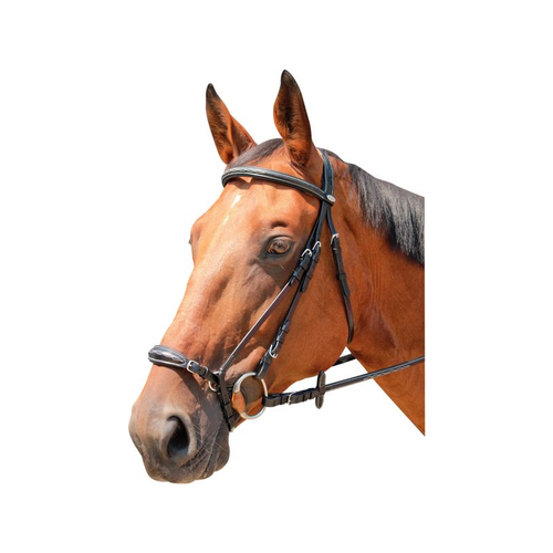 Bridle CLARKSVILLE Kentaur