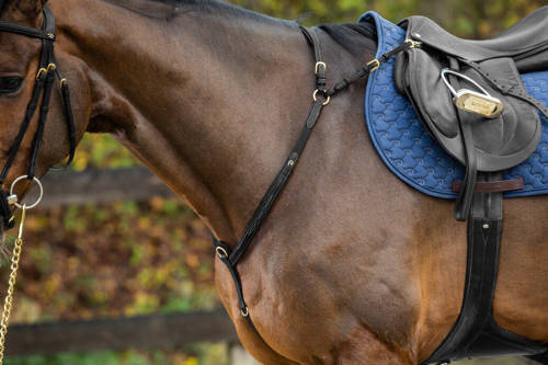 DYON Collection breastplate with bridge