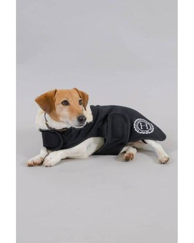 Dog coat RIVER WINTER Harcour