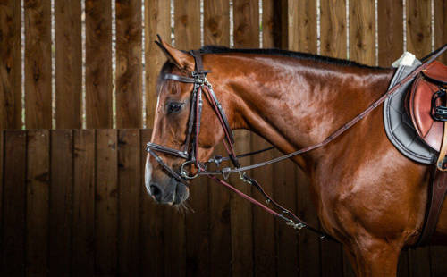 Gogue DYON Working Collection