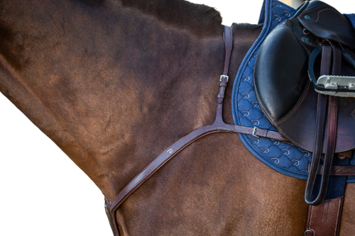 Wide breastplate DYON New English