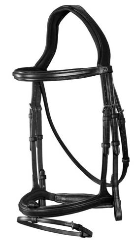 Bridle with combination noseband DYON New English