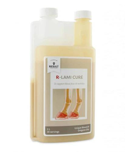 Supplement R-LAMI CURE Result