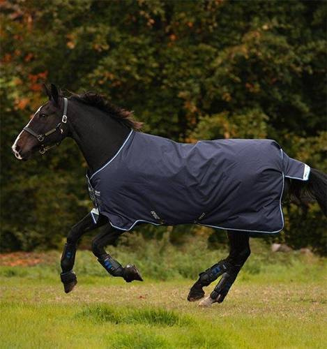 Paddock rug Amigo Bravo 12 250g
