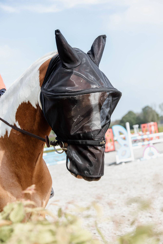 FLy mask PRO Kentucky