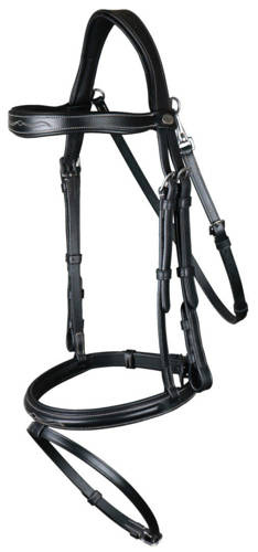 Fancy DYON Working Collection bridle