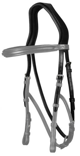 Hackamore DYON New English headline