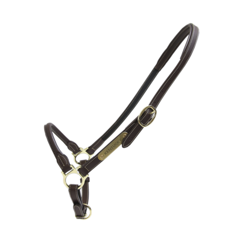 Leather GROOMING Halter Kentucky