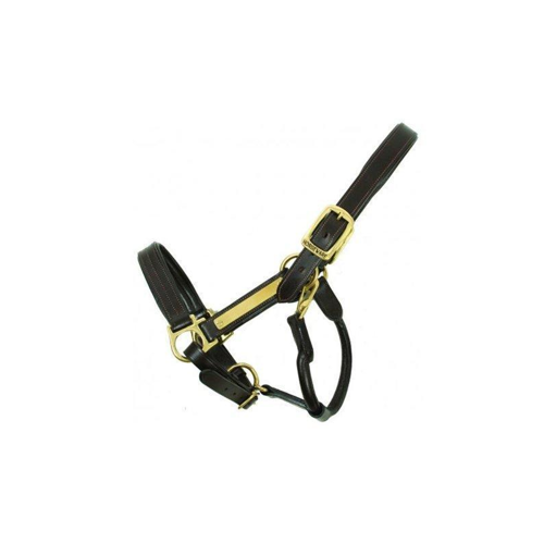 Kantar Amigo Padded Headcollar