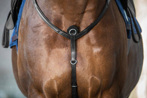 DYON New English breastplate