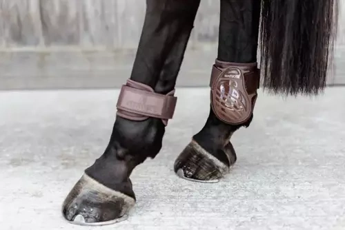 Fetlock boots YOUNG HORSE Kentucky