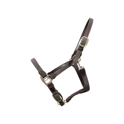 Plaited Nylon Halter Kentucky