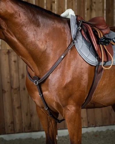 Breastplate DYON Working Collection