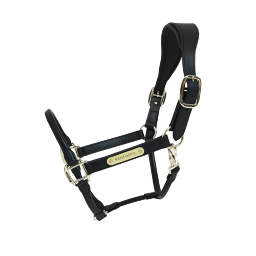 Anatomic Leather Halter Kentucky