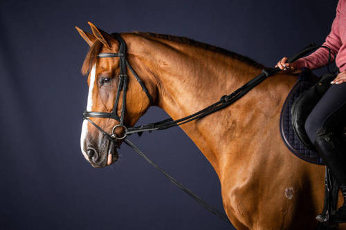 DYON New English black leather and cord rein