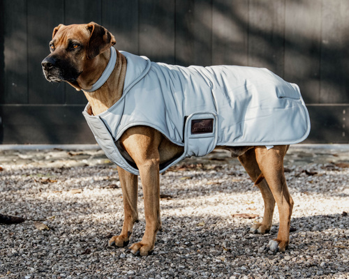 Dog coat REFLECTIVE WATER REPELLENT Kentucky