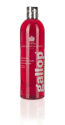 Gallop Colour – Bay