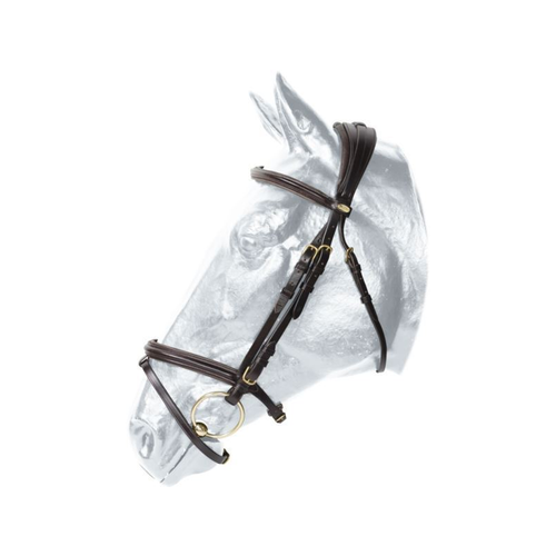 Bridle HAMILTON Kentaur