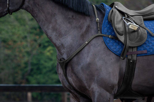 D Collection DYON breastplate