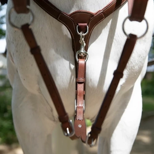 Martingale Antares Brown