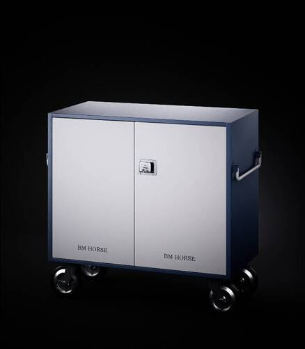 Saddle Box RC CLASSIC 2018 BM HORSES