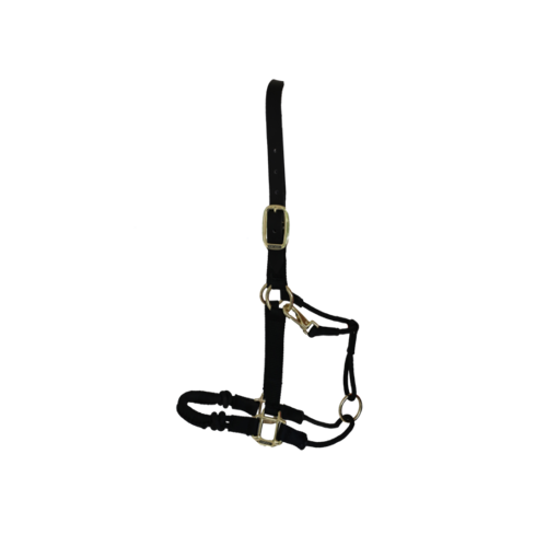 Halter CONTROL Kentucky