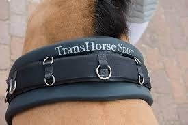 Foam pad for the lunging belt