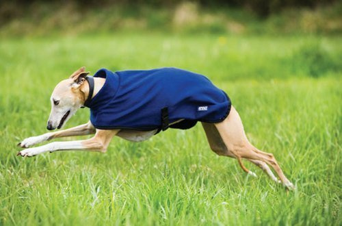 Fleece dog coat Amigo