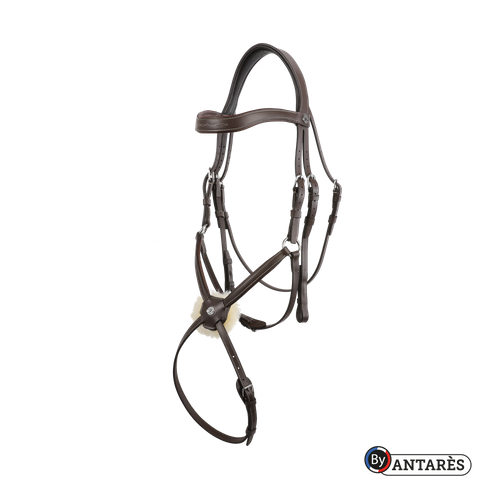 Tranzelka SIGNATURE Antares