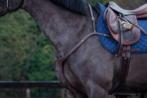 D Collection DYON breastplate