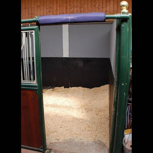 Ochraniacz na głowę do boksu DYON