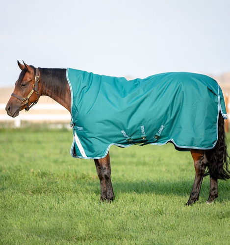 Derka Amigo Bravo 12 Wug Med Horseware