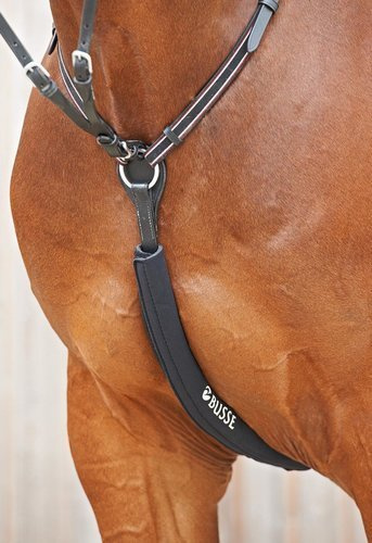 Busse breastplate protector