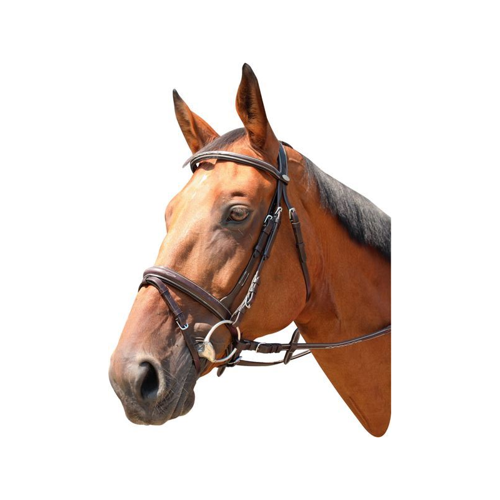 Bridle MARYSVILLE Kentaur