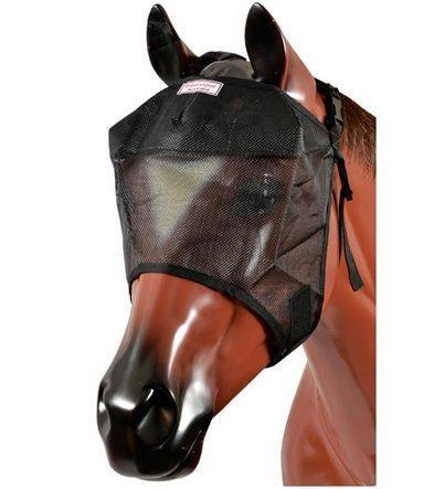 DSM Trotting Mask