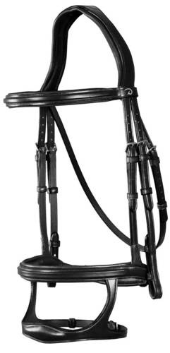 Bridle with Nachr. double DYON New English