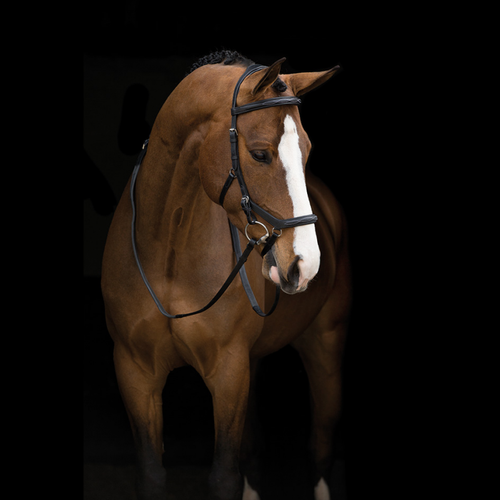 Ogłowie MICKLEM 2 DELUXE COMP Horseware