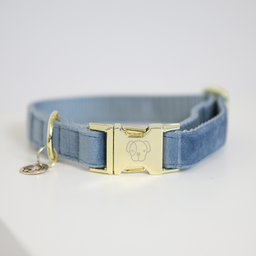 Dog Collar VELVET Kentucky