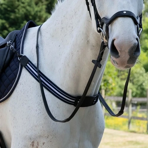 Antares elastic breastplate