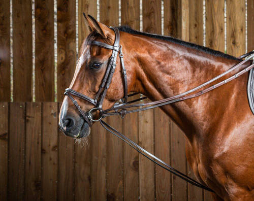 Draw rein leather-rubber DYON Working