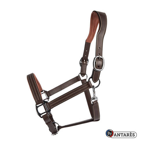 Halter SIGNATURE Antares