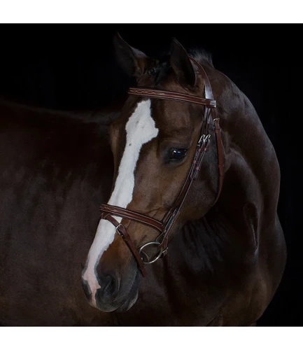 Bridle STOCKHOLM Greenfield
