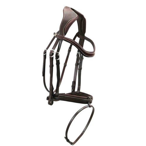 The PRECISION COMFORT Antares bridle