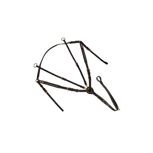 Breastplate MONS Kentaur