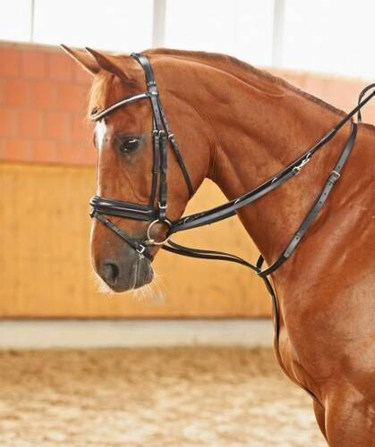 Reins THIEDEMANN SOLIBEL