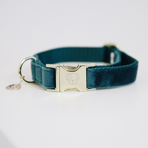 Dog Collar VELVET Kentucky
