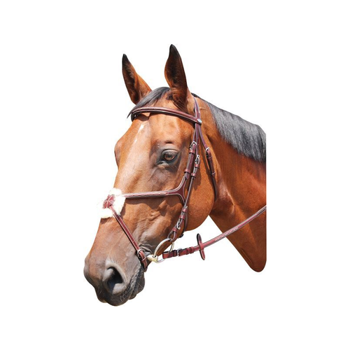 Bridle KNOXVILLE Kentaur