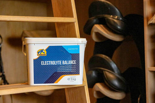 Suplement diety ELECTROLYTE BALANCE  Cavalor