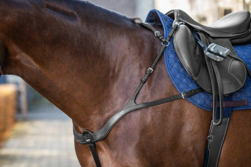 DYON New English anatomical breastplate